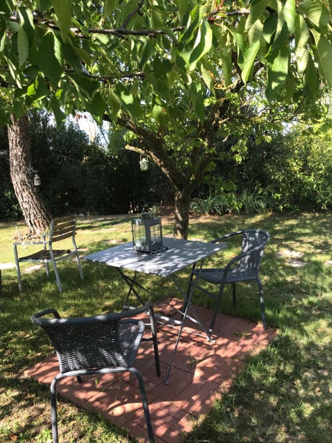Le Jardin De La Cite Bed & Breakfast Carcassonne Exterior photo